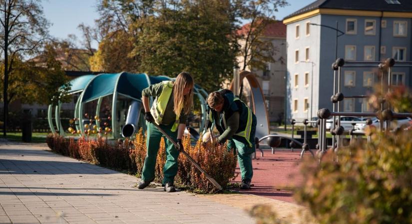 Ősszel is bezöldül Kazincbarcika?