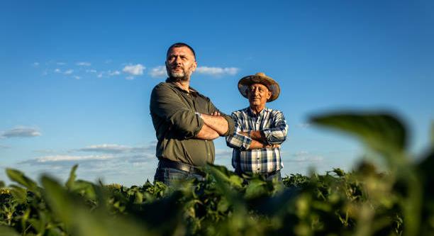 A magyar agrárszektor átalakulása, fogyatkozó gazdaságok és növekvő koncentrálódás