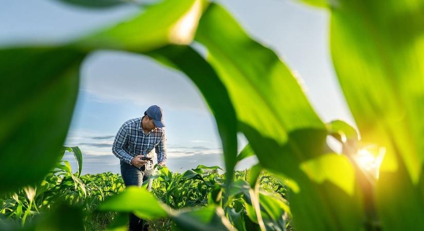 Dinamikusan nőtt a magyar agrárexport