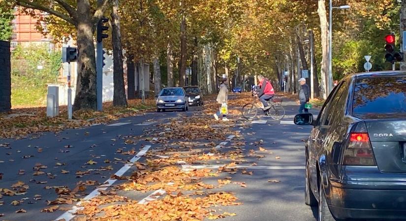 Őszi színekben úszik a zalaegerszegi Platán sor (videó)