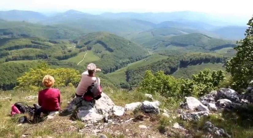 Megmutatta magát a Bükk-hegységben járkáló lény - videóval