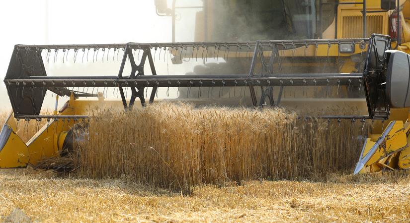 Nagy István: dinamikusan nőtt a magyar agrárexport az év első felében