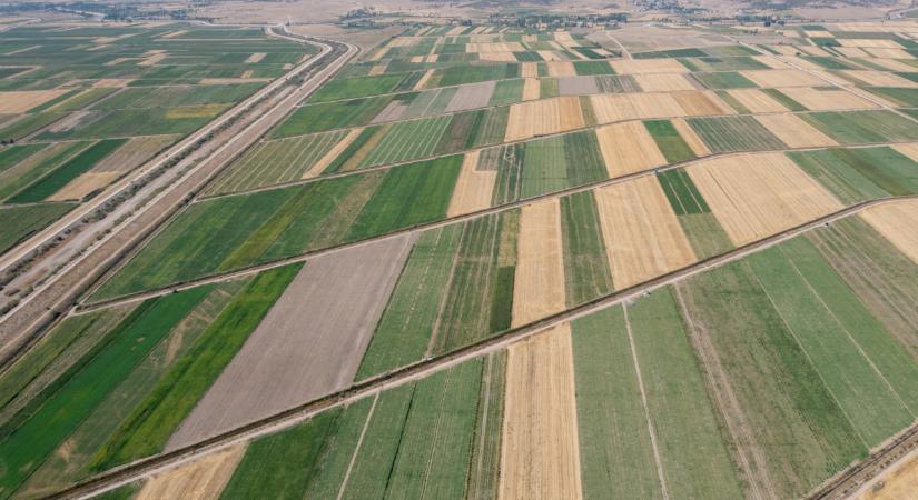 Itt a magyar egyetem nagy dobása: ez a teljes agráriumra hatással lehet