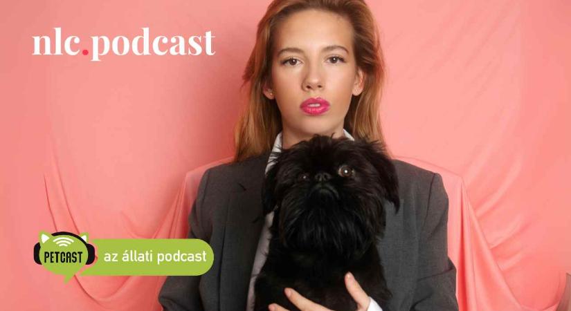 Petcast. Az állati podcast: Mazzag Izabella: Mielőtt állatot veszünk magunkhoz, rendet kell tenni az életünkben