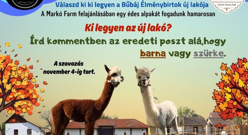 Ki legyen a Bűbáj Élménybirtok új lakója?