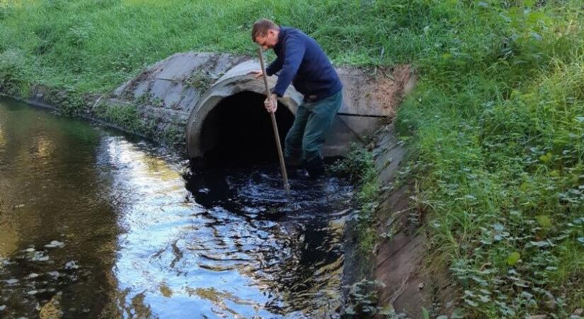 Újabb idegenhonos tízlábú rákfaj jelent meg a Balaton-felvidéki Nemzeti Park Igazgatóság működési területén