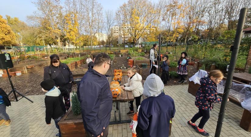 Tökfaragó és jelmezversennyel ünnepelték a Halloweent a Tócóskertben