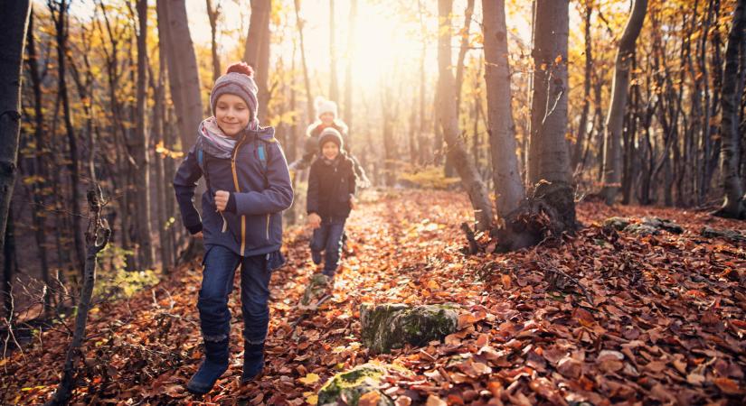 Érkezik az igazi hideg ősz: reggeli mínuszokkal rajtol el a november