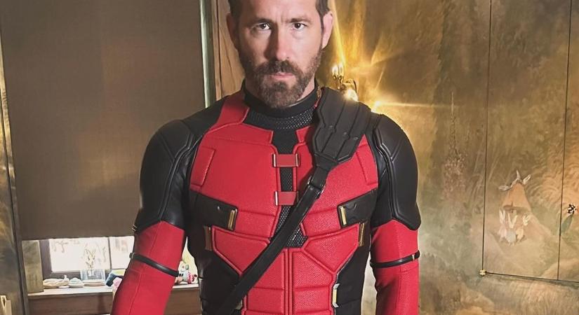 Ryan Reynolds visszavágott Martha Stewartnak