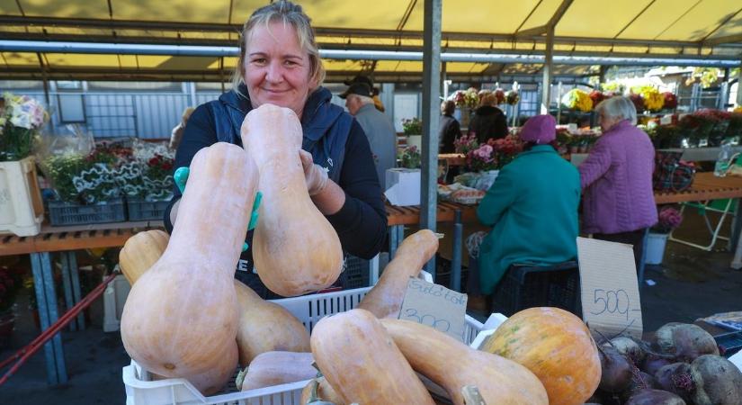 Piaci körkép: Japánon át Röszkéről érkezett a Hokkaido-tök Szegedre – videóval