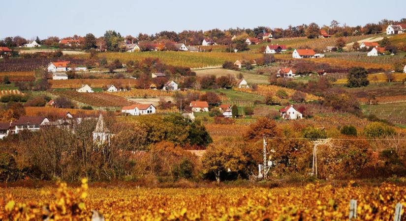 A Balaton-felvidék rejtett völgye, a Nivegy-völgy