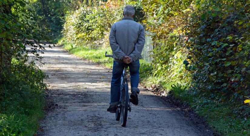 Milyen az ökológiailag legfenntarthatóbb bicikli?