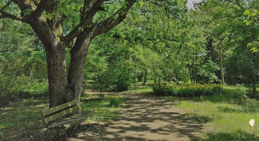 Már több mint 70 éve természetvédelmi terület az Erdőtelki Arborétum