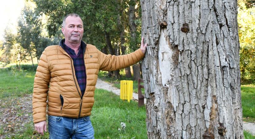 Tovább fejlesztenék a tiszavárkonyi sétányt és annak környékét