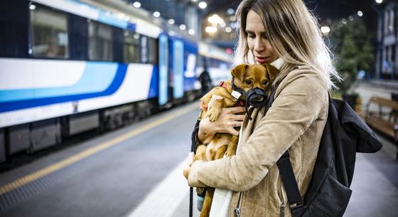 Vége a tesztidőszaknak, mostantól sokkal egyszerűbb kutyával utazni az InterCityken