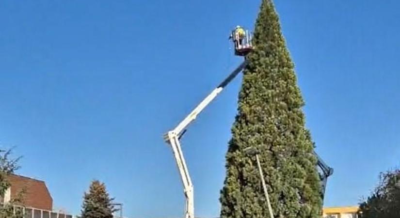 Elkezdték feltenni a karácsonyi fényeket Veszprém belvárosában (videó)