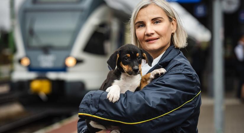 Egyszerűbbé válnak a kutyák és gazdáik utazására vonatkozó szabályok