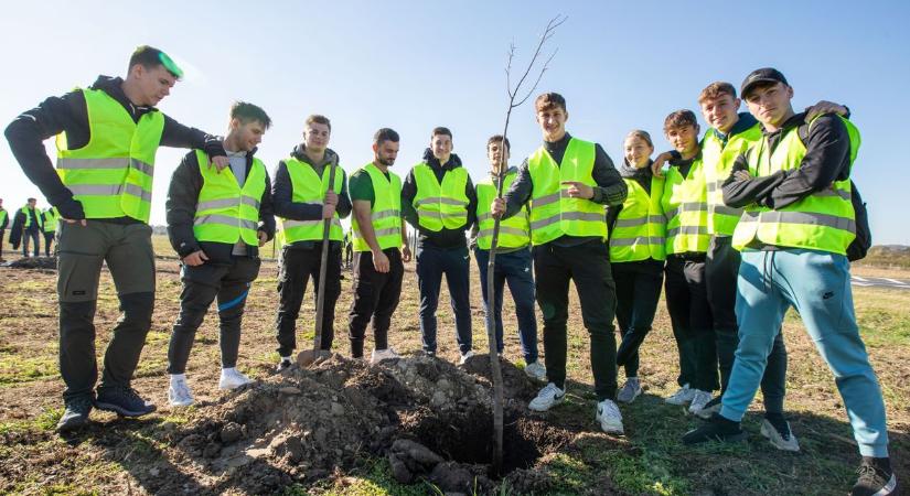 Száz éves lesz a Testnevelési Egyetem: zöld örökség a Velencei-tó kapujában (galéria)