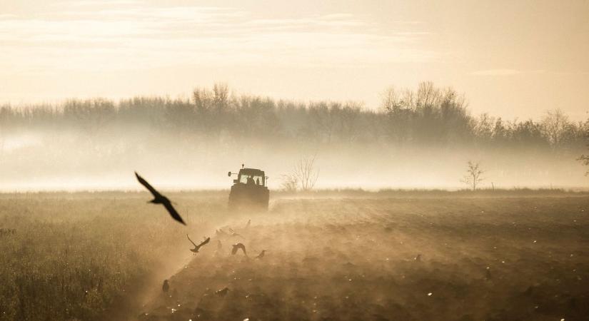 Magyar Péterék uniós biztosjelöltje azonosul a gazdákat tönkretevő agrárstratégiával