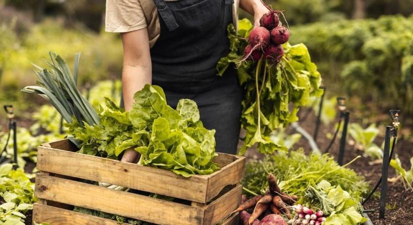 Teret nyerhet a biogazdálkodás – indul a támogatási program