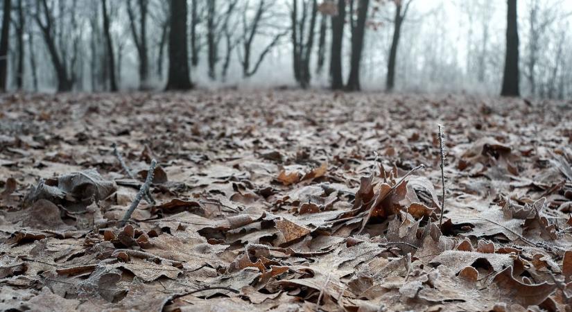 Kihűlés: A hajnali hidegek halált is hozhatnak