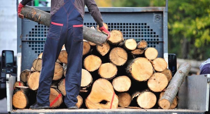 Elkezdődött a szociális tüzelőanyag kiosztása Nagykörűben