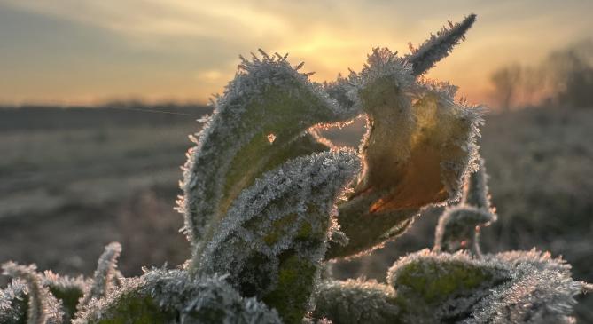 -16,5 fokos fagy volt hajnalban a Bükk-fennsíkon