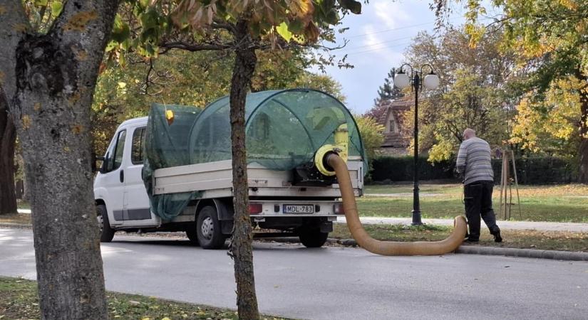 Lombszívó gépet szereztek be Cserkeszőlőn, hogy gyorsítsák a munkát