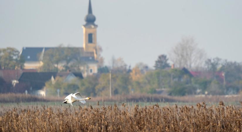 Változatlanul napos novemberi idő