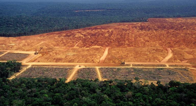 Csaknem harmadával csökkent az erdőirtás a brazíliai Amazonas vidékén