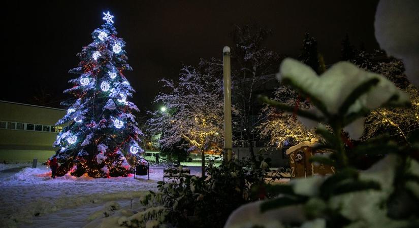 Szeretnéd, hogy a te ablakod is a karácsonyi díszek közt legyen? Akkor jelentkezz!