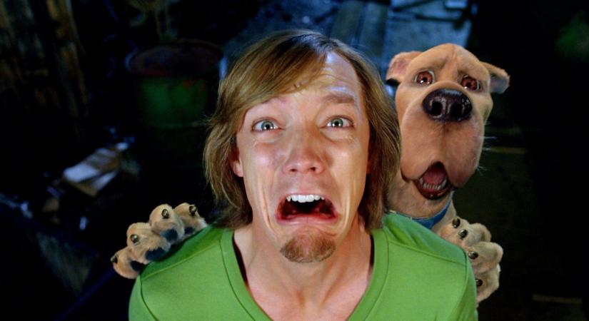 Matthew Lillard azt hitte, a Scooby-Doo 2-nek köszönhetően megasztár lesz, aztán a film megbukott, ő meg "irrelevánssá" vált