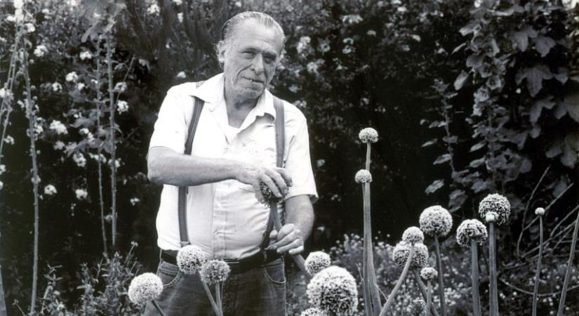 Először olvashatóak magyarul Charles Bukowski hétköznapi őrületei