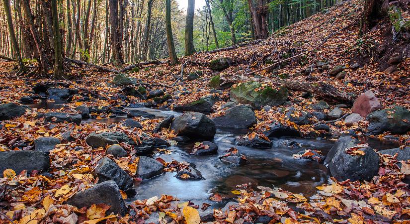 Még jó pár napig kitart a furcsa novemberi idő