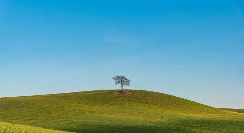 Növekvő foglalkoztatás az agráriumban