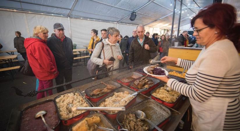 Ingyenes programok Hajdú-Biharban: mutatjuk, merre érdemes indulni