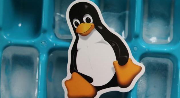 Torvalds megvillant, és a Linux máris gyorsabb 2,6 százalékkal