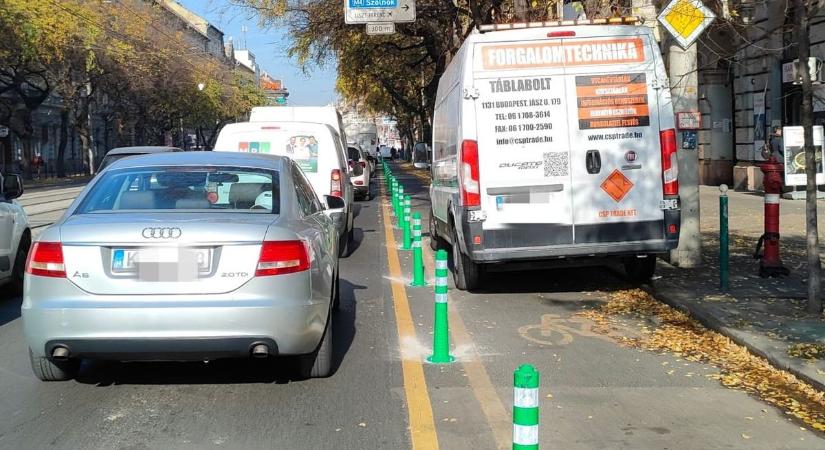 Tovább szaporodnak a gerikarók Budapesten