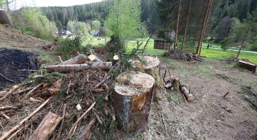 Az önkéntes környezetvédőknek annyi, az államtitkárok meg autózhatnak, quadozhatnak a védett területeken: elfogadták a törvénymódosítást