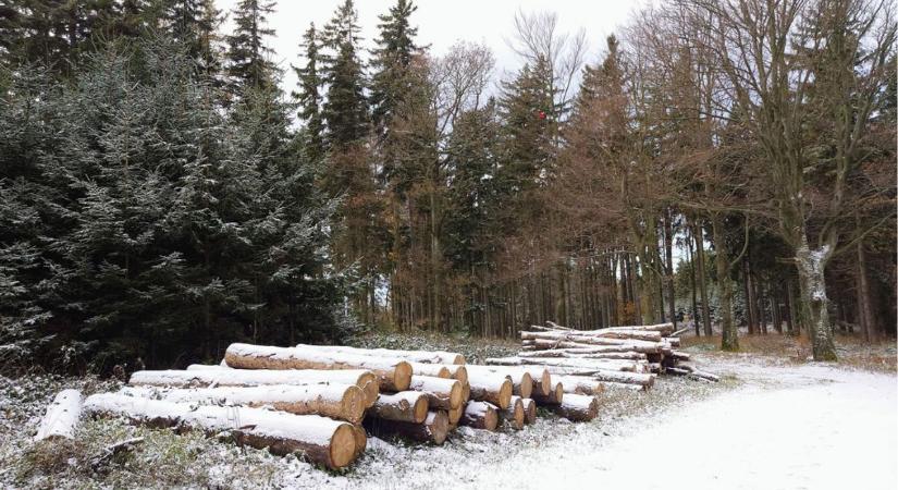 Tavaly november közepén havazott Vasban - Vajon, mikor lesz fehér a táj, a jövő héten?