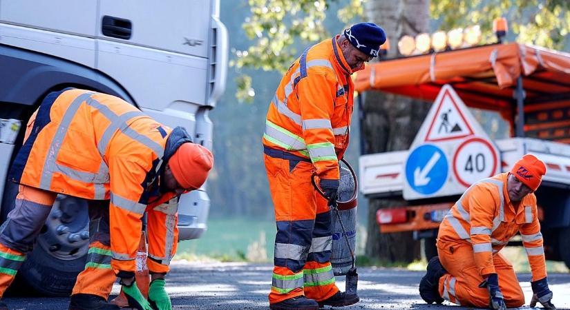 Robbanásszerűen terjed a madárinfluenza, felújítják az 53-as főút kisszállási szakaszát