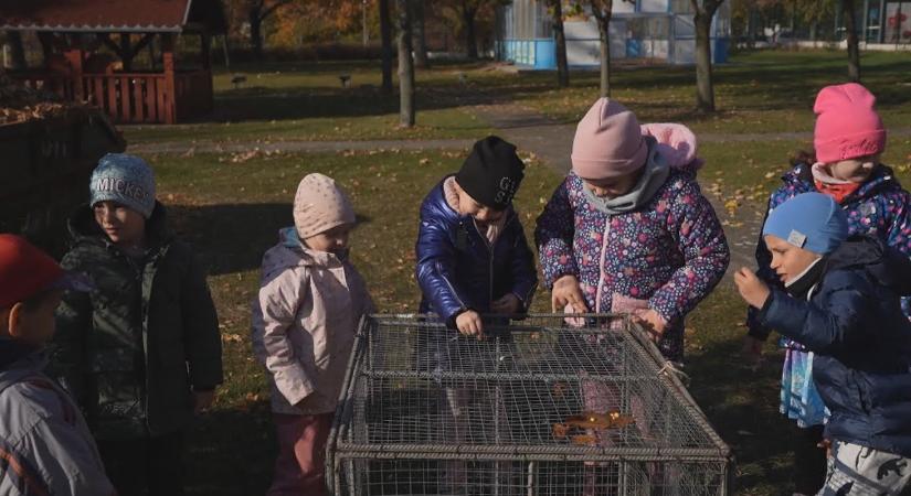 Hagyományőrzés az óvodában