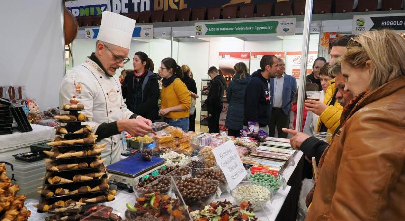 Bakony Expó: családi program, találkozási hely