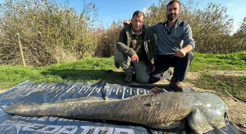 Kifogták az ohati Jabbát, aki 2 órán át húzta a horgászok csónakját – fotókkal, videóval