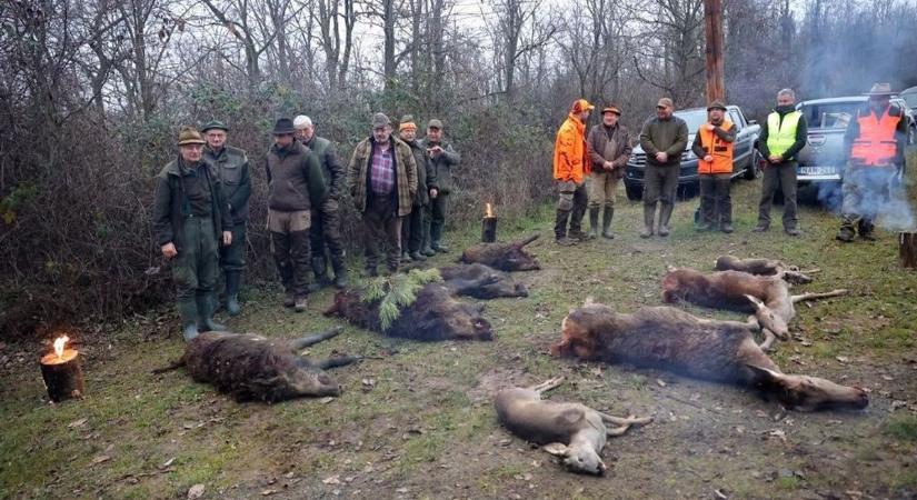 Hangos robajokat hall Szekszárdon? Mutatjuk, mi okozza!