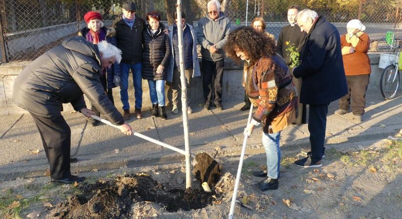 Gesztenyefákat ültettet a Bácsalmáshoz Kötődő Baráti Kör – galériával