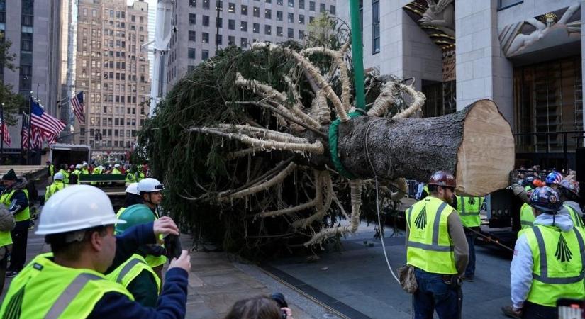 Megérkezett a Rockefeller Center karácsonyfája New Yorkba