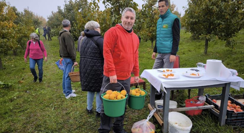 Felejtsd el a drága boltit: a hazai szakértő szerint így juthatsz fillérekért ehhez az egzotikus gyümölcshöz!