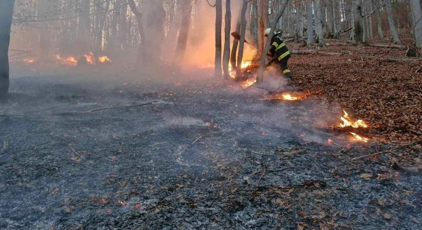 Erdőtűz ütött ki több helyen, tűzoltók százai küzdenek a lángokkal (FOTÓK)