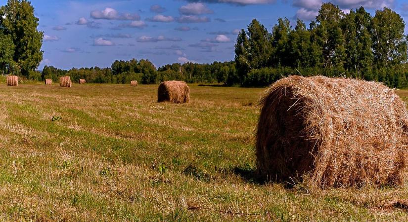 Szibéria a szemünk láttára válik mezőgazdasági nagyhatalommá?